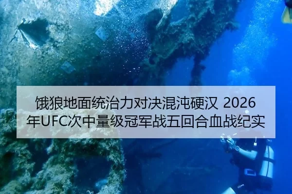 e-lang-di-mian-tong-zhi-li-dui-jue-hun-dun-ying-han-nian-ci-zhong-liang-ji-guan-jun-zhan-wu-hui-he-xue-zhan-ji-shi-2-456.jpg
